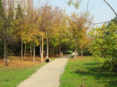 -咸阳湖景区-古渡公园