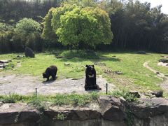 -宁波野生动物园