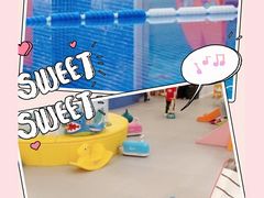 -戊辰亲子游泳俱乐部