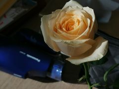 -麦当劳(浦珠路得来速店)