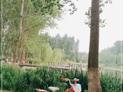 -东郊湿地公园
