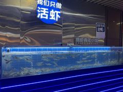 -0048鲜活香辣虾·火锅(铜陵路店)