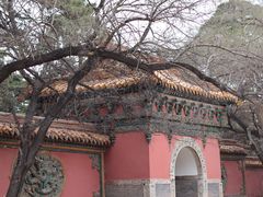 -北陵公园