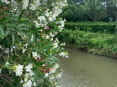 -上海崧泽遗址博物馆