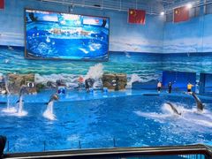 -多彩贵州城极地海洋世界