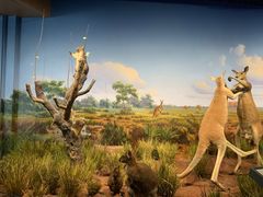 -陕西自然博物馆