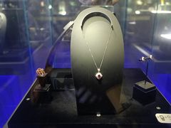 -湖南省地质博物馆