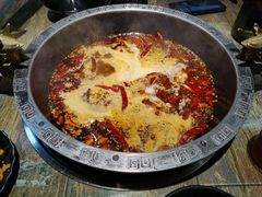 -销魂美蛙鱼头火锅(上海首店)