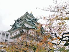 -名古屋城