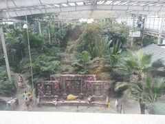 android_upload_pic-龙达温泉生态城