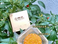 -广州中国大酒店