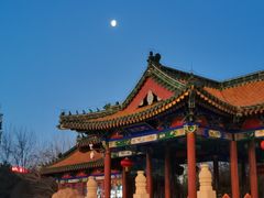 -莲花池公园