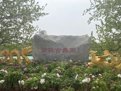 -御林古桑园