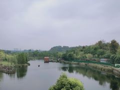-两江国际影视城