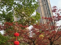 -昆山城市公园