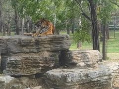 -秦皇岛野生动物园
