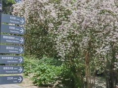 -国家植物园南园