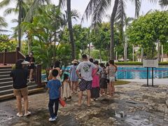 -三亚海棠湾万丽度假酒店