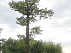 -敬亭山风景名胜区