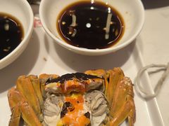 -杨氏青龙虾·羊蝎子(托乐嘉店)