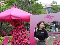 -灵玲国际马戏城