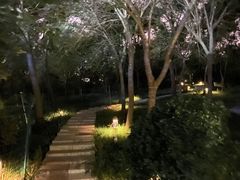 -南翠屏公园