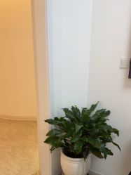 -天津伊美尔医疗整形美容专科医院