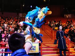 -广州长隆国际大马戏