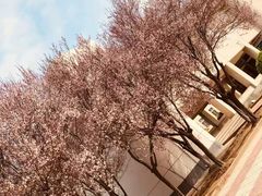-宿迁学院