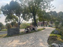 -羊山湖公园