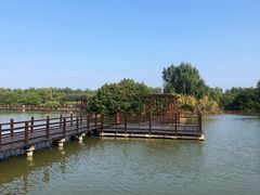 -大湾区中央湿地公园