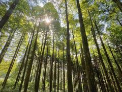 -罗田薄刀峰风景区