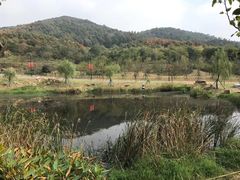 -南京市无想山景区