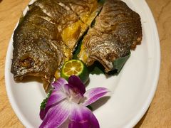 -龙泉人椰子鸡.糟粕醋.海南菜(三亚旗舰店)