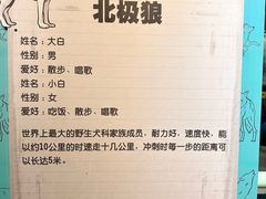 -海合安武汉极地海洋公园