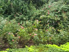 -人民公园(罗湖区)