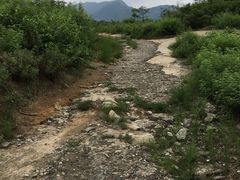 -白水寺森林公园