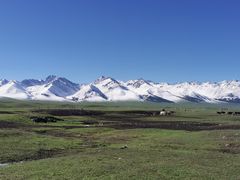 -新疆那拉提国家旅游度假区
