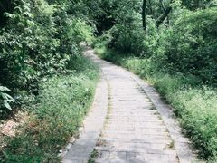 -青龙山国家森林公园