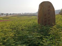 -光明小镇欢乐田园