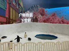 -广州热雪奇迹