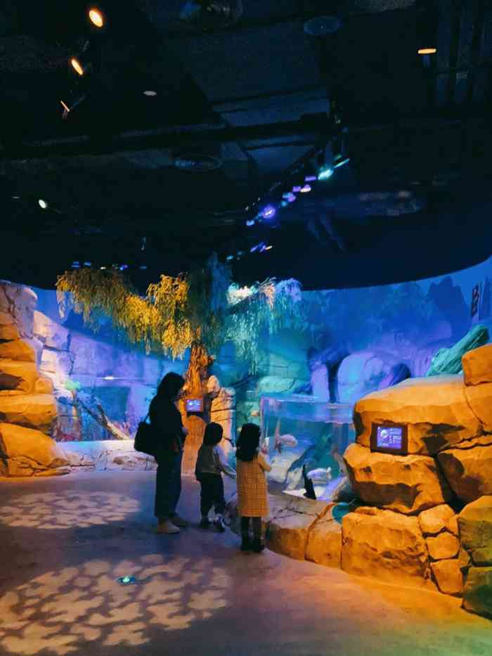 沈阳海洋探索中心-"地点在k11,3楼,很容易就找到.团了.