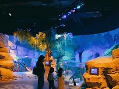 -沈阳海洋探索中心