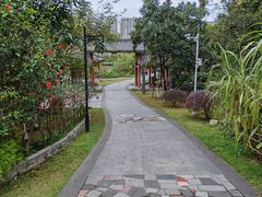 -广州神农草堂中医药博物馆