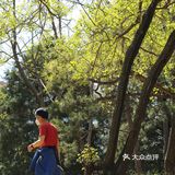 春色正好,游客不少。疫情前只有附近居民饭后来遛达