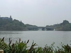 -华侨城湿地公园