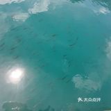 美丽的巴松措，迷人的湖心岛。