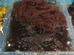 -新丁香海鲜酒店(银海商贸城店)
