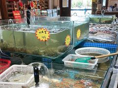 -和源祥·日照菜扛把子(万平口一店)