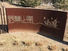 -东郊湿地公园